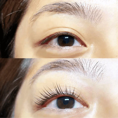 Luxo Tint Set